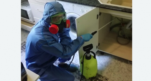 Уничтожение муравьев в квартире. Грязовец