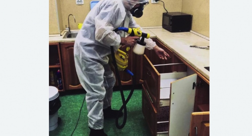 Уничтожение насекомых в квартире. Грязовец