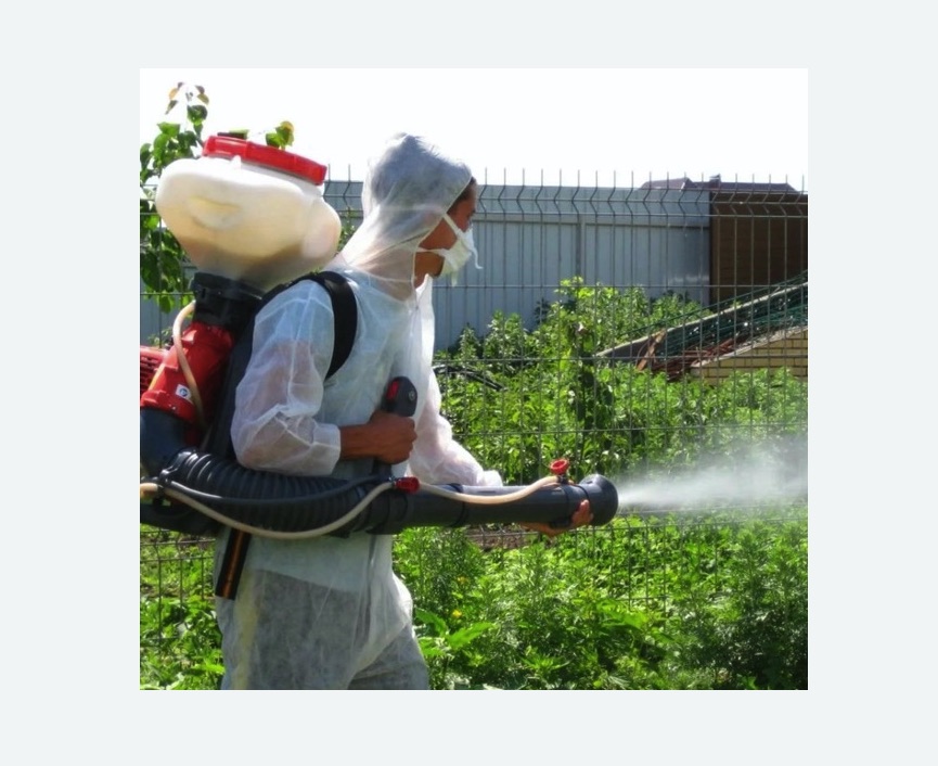 Акарицидная обработка территории в Грязовце