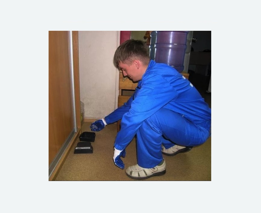 Дератизация крыс в Грязовце