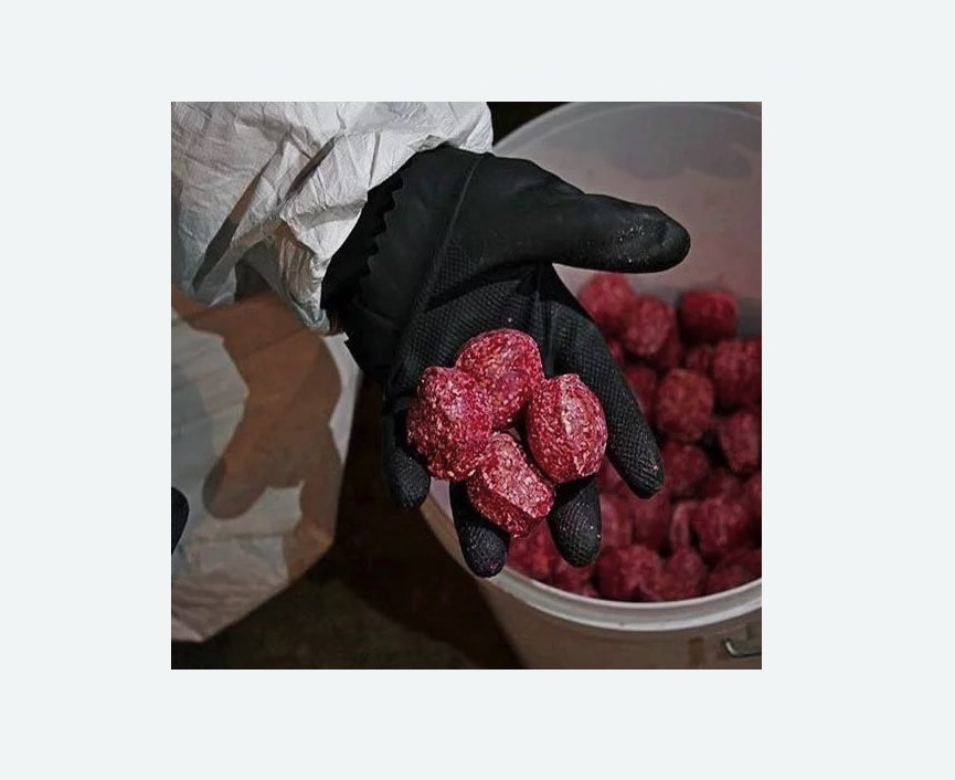 Обработка от крыс в Грязовце