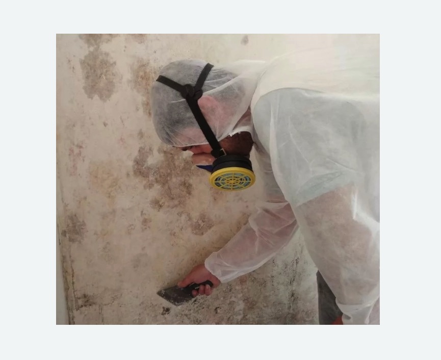 Обработка стен от плесени в Грязовце