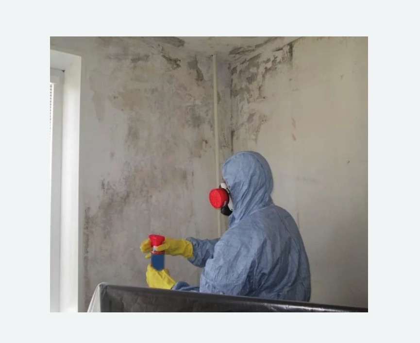Удаление плесени в квартире в Грязовце