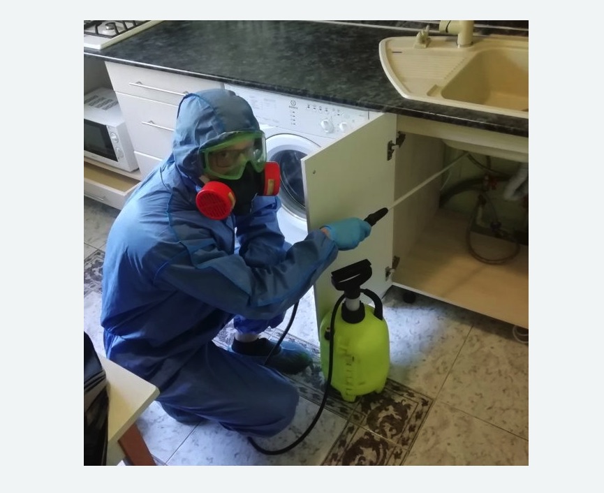 обработка от муравьев в квартире в Грязовце