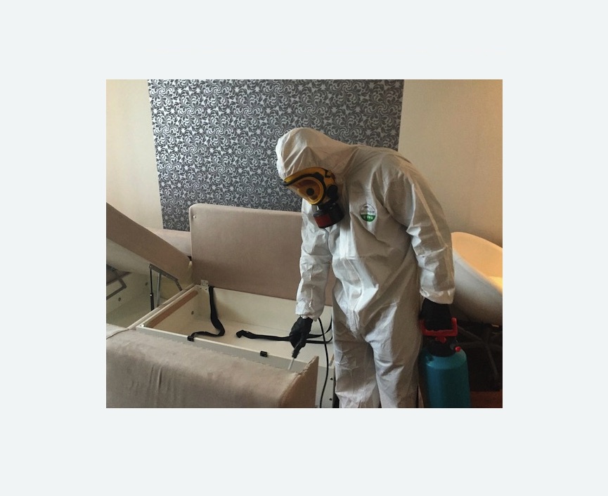 уничтожение клопов в квартире в Грязовце