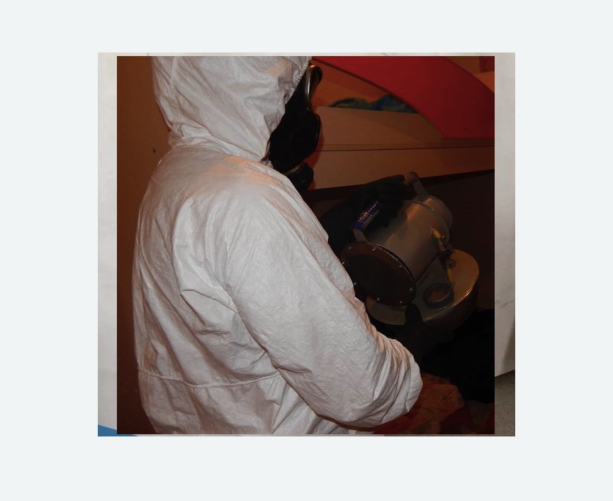 Дезинфекция от муравьев в Грязовце